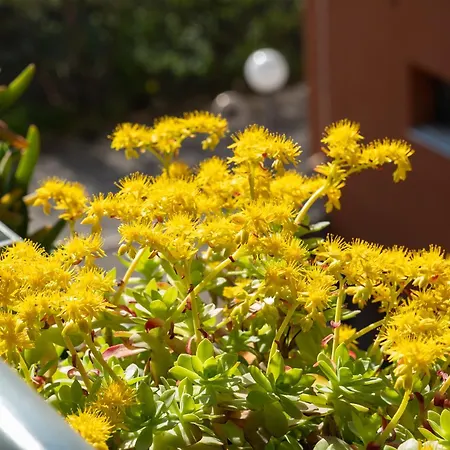 Casalucia Alle Porte Del Centro דירה *